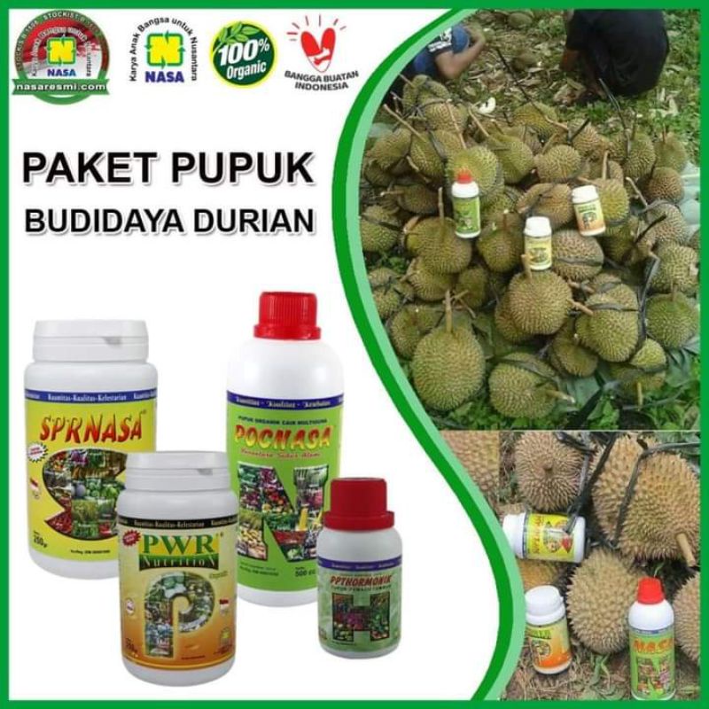 Pupuk organik NASA budidaya Durian pelebat dan pemontok buah durian