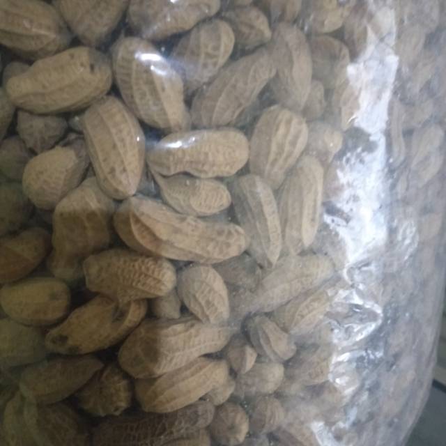 

Kacang kulit sangrai 500gr cemilan jajanan keripik