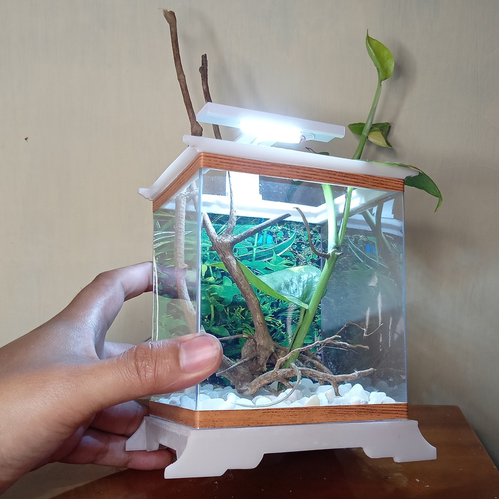 Jual AQUARIUM MINI IKAN CUPANG IKAN HIAS KOTAK UNIK ARTISTIK AKSESORIS ...