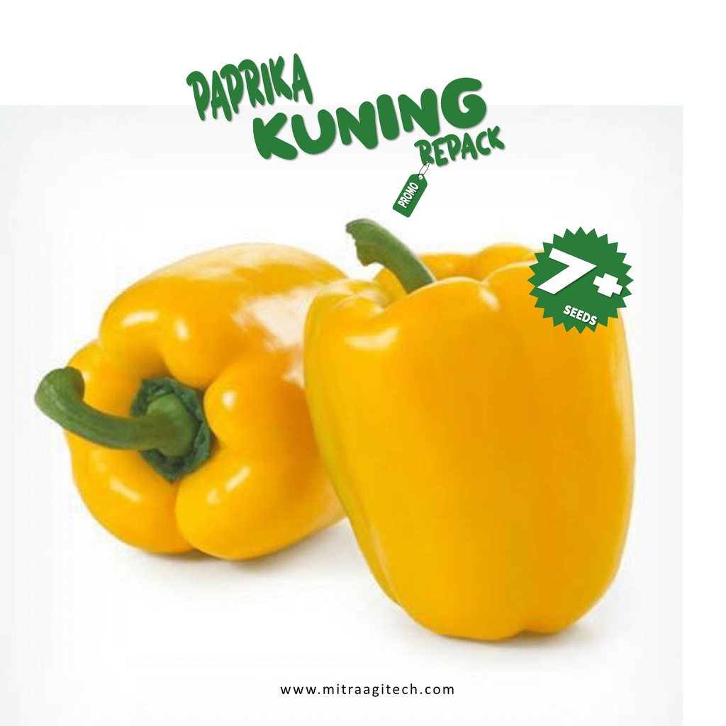 Jual BENIH BIBIT PAPRIKA KUNING ISI 7 BIJI KEMASAN REPACK ECERAN ZIPLOCK Shopee Indonesia