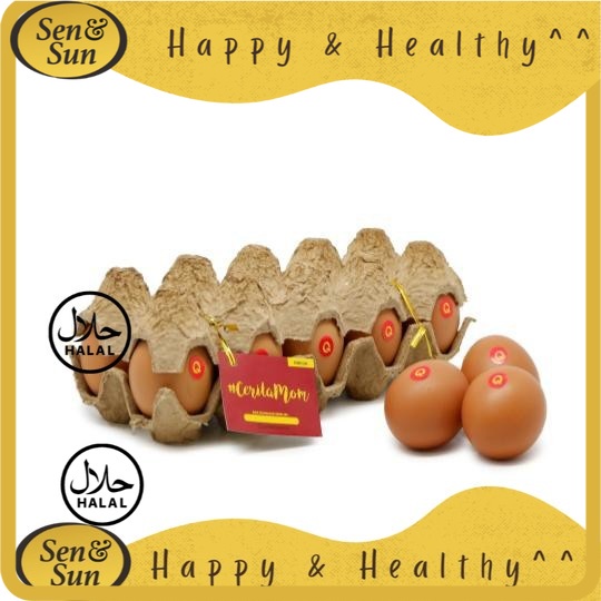 

Sen&Sun Telur Omega 10 Butir