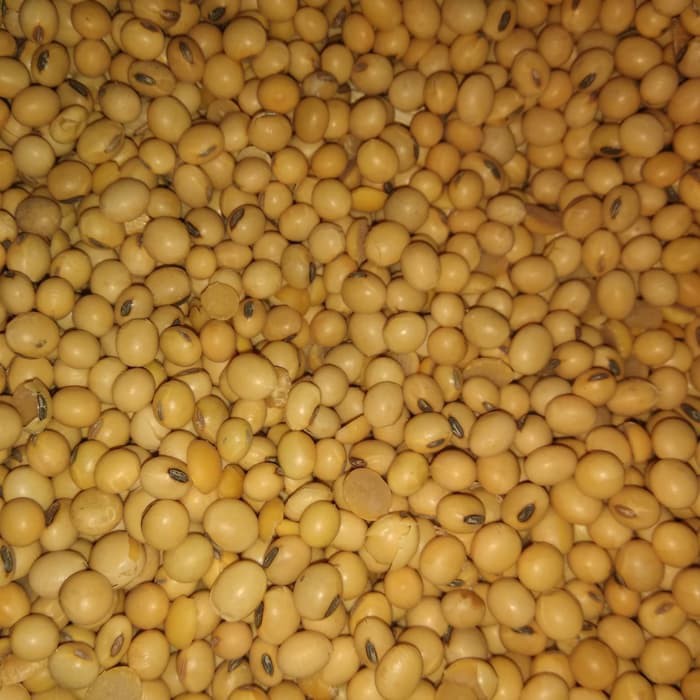

Kacang Kedelai Kualitas Premium 1kg
