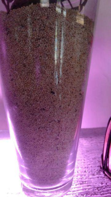 Plastik Kantong Zipper / Ziplock Klip / Ziplock Bag Plong --- Putih Size 30 X 45