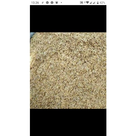 

Sekam mentah Kalimantan timur 1kg Baru dan bersih