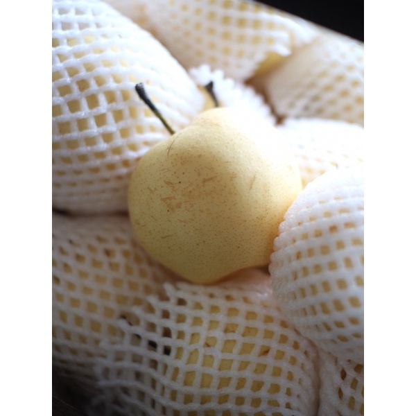 

Pear Century