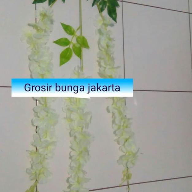 ☋ Promo Bunga Plastik Wisteria Jumbo Putih Hiasan Dekorasi Wedding ☇