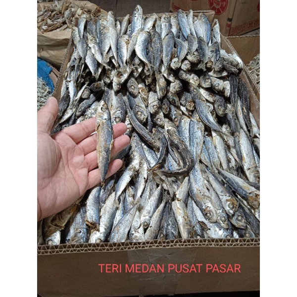 

Dencis rebus pulpen(500gram)