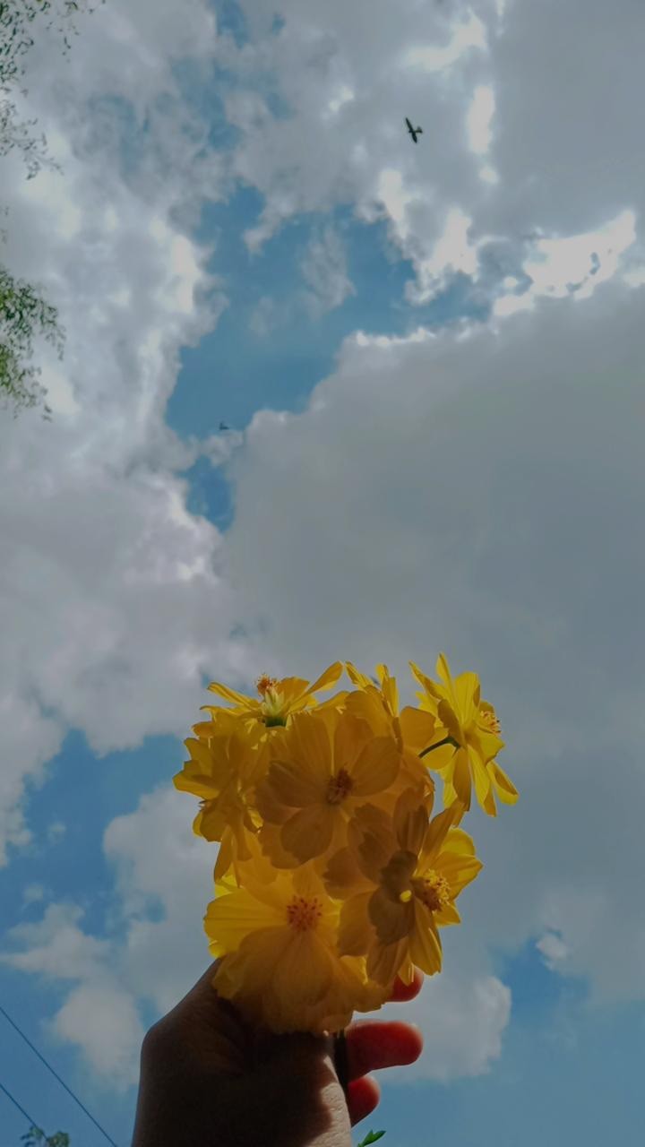 All Sarung Batik Anak Nu Sarung Anak Becak Onthel Vespa Sarung Wayang Printing Aqil Batik Store