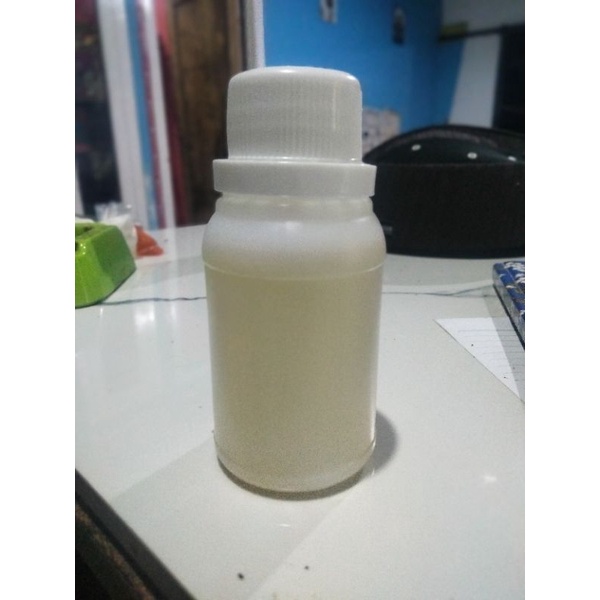 minyak sirih /piperr betlle oill kemasan 50mll