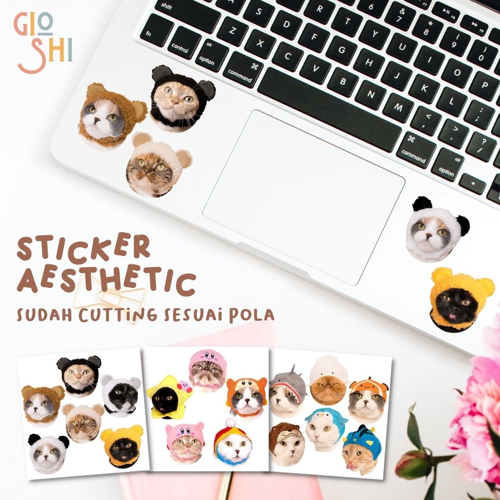 

stiker aesthetic Cute Cat by Gioshi.Store
