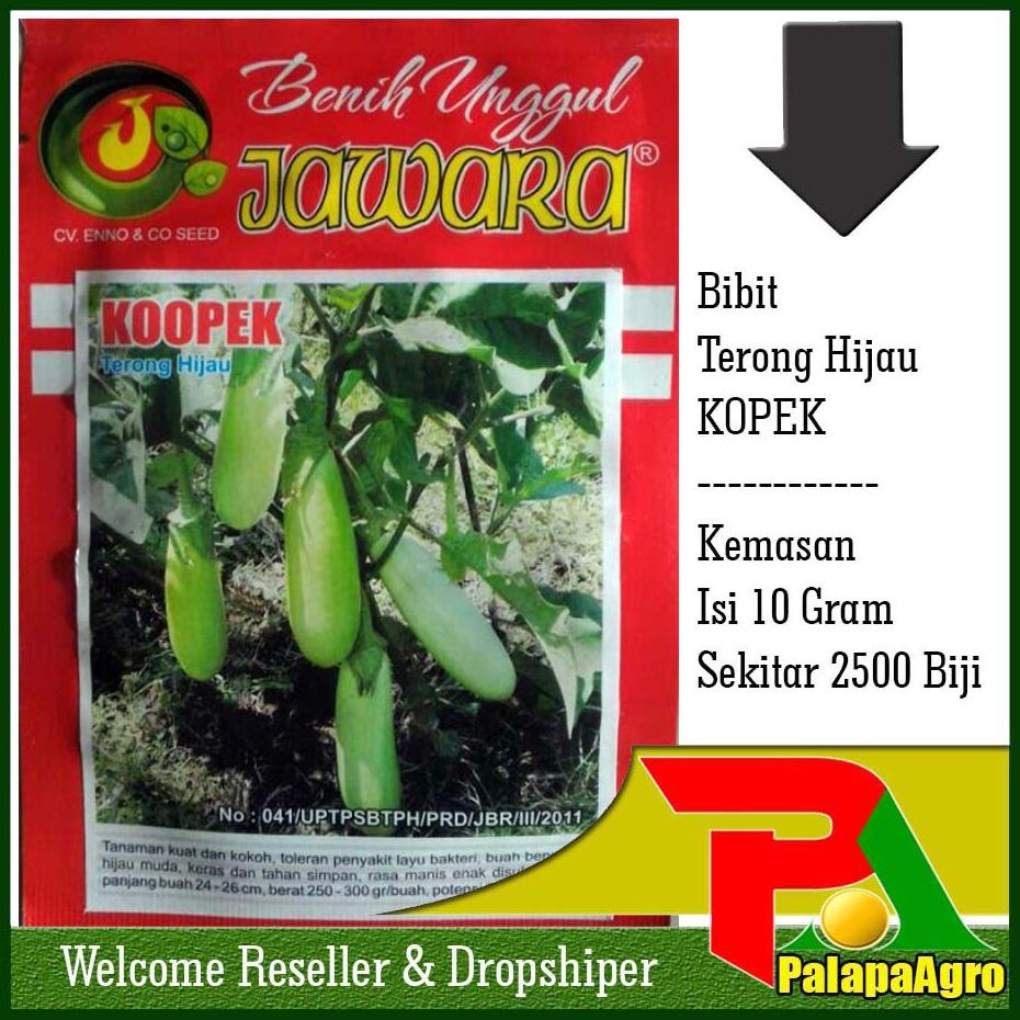 Isi 10Gram - Bibit Terong Hijau Kopek ( 2500 Biji ) | Benih Terong Hijau Unggul