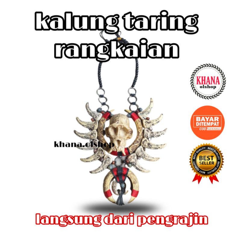 Kalung Taring Babi Etnik Dayak Kalimantan