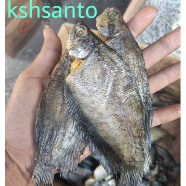 

ikan asin sepat medan-500gram