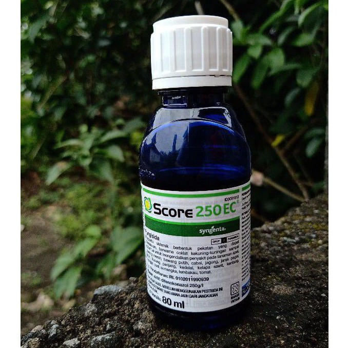 Fungisida Score 80ml