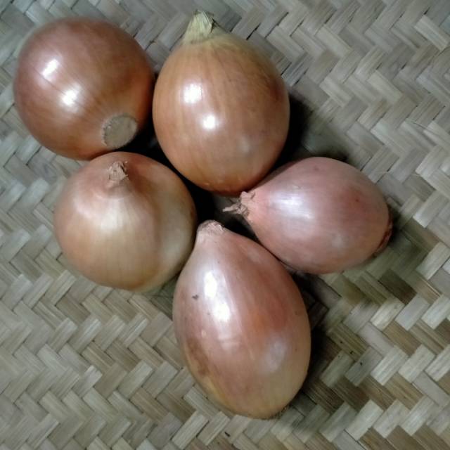 

Bawang bombai