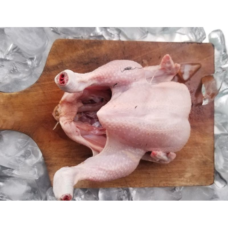 

AYAM BROILER NEGERI KARKAS SEGAR uk 0.8 PREMIUM QUALITY