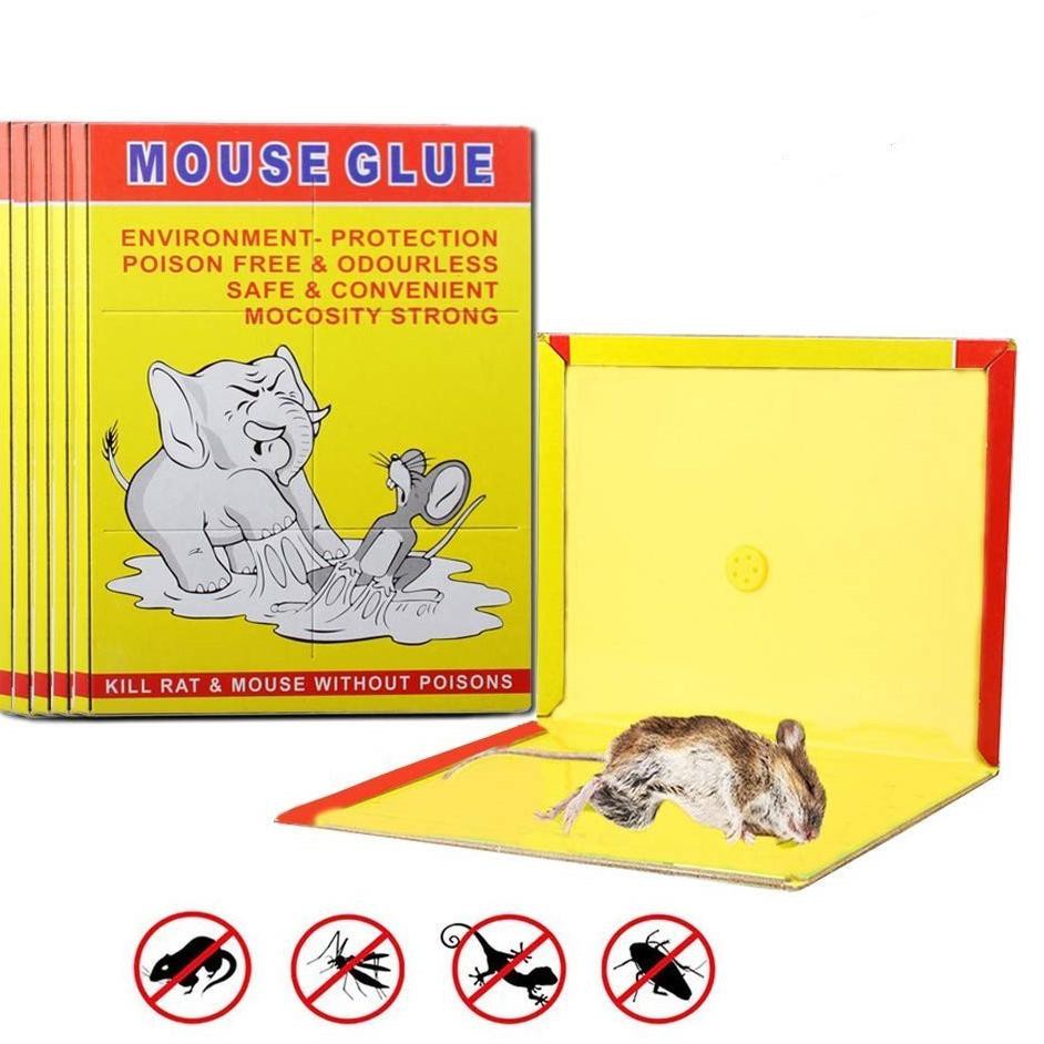 

PROMO 5.5 LEM TIKUS / MOUSE GLUE