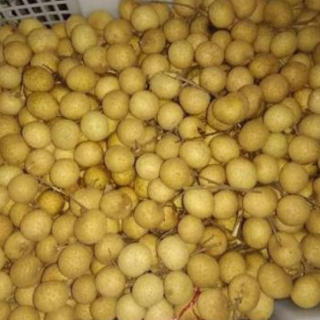 

KELENGKENG/800gr