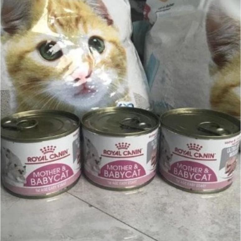 ROYAL CANIN MOTHER & BABY CAT