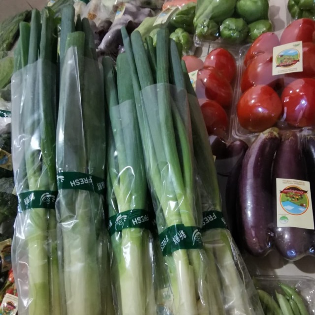 

Daun Bawang/Spring Onion Sayuran Organik 200 gr