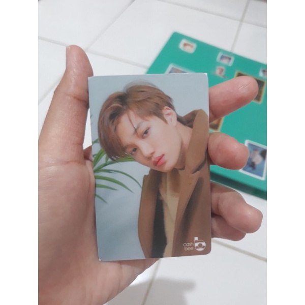 

Kai Casbee