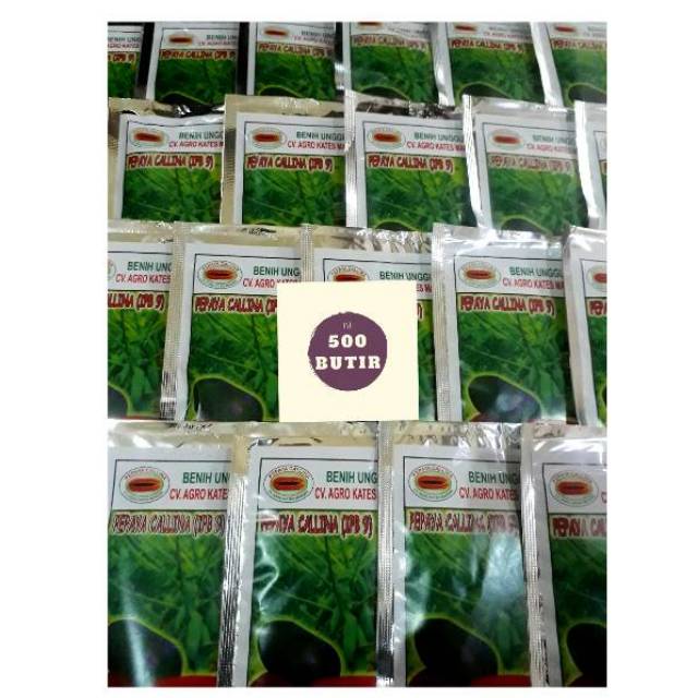 Paket 5 pack Benih Pepaya Calina IPB9
