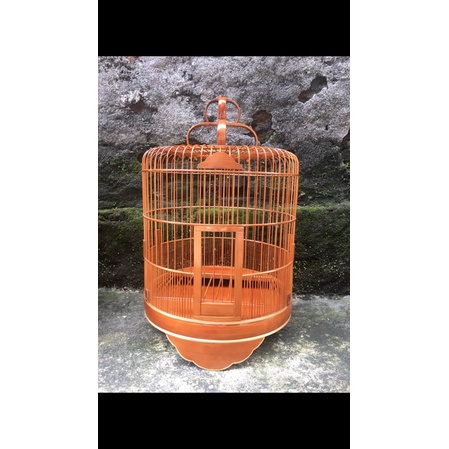 Sangkar Anis dan Wambi D38