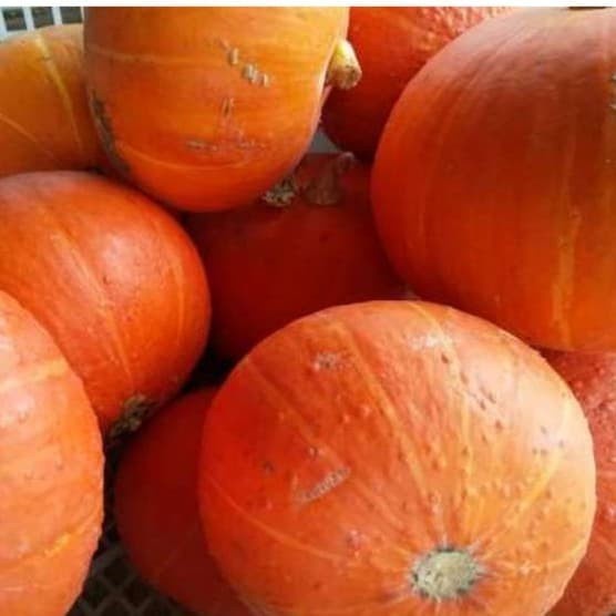 

Kabocha Orange ORGANIK 1Kg