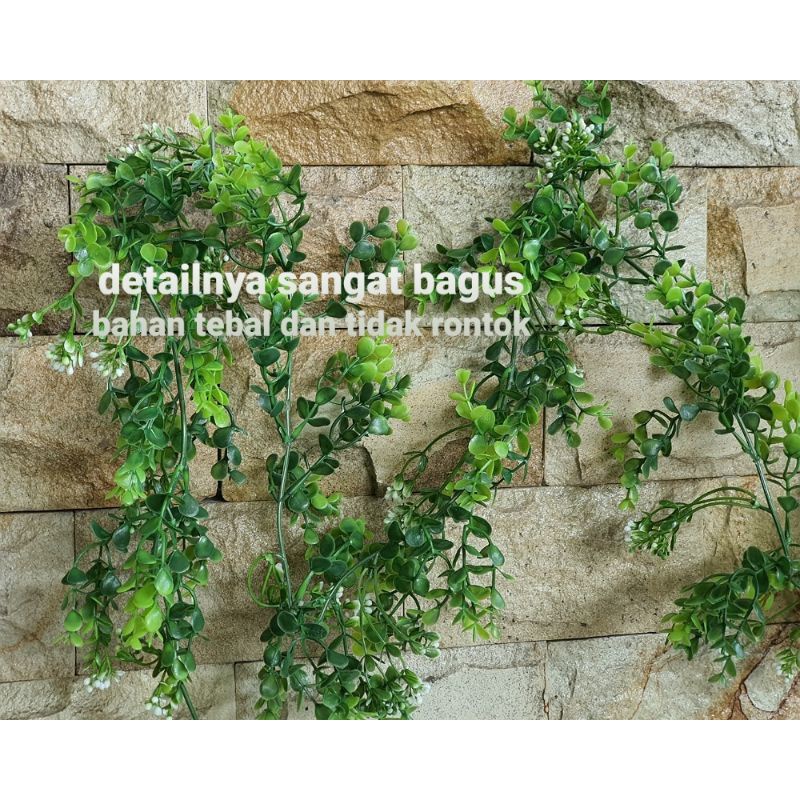 Daun Rambat dollar Milano 1,8 meter