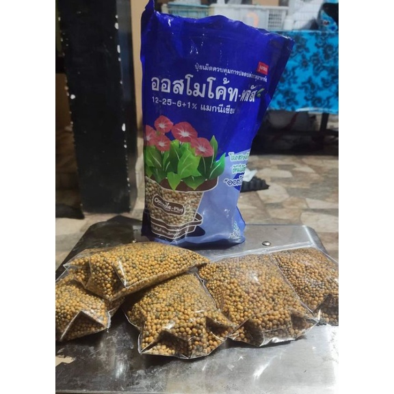 pupuk osmocote Thailand kemasan 200 gram