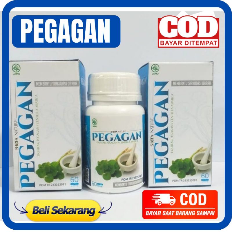 PEGAGAN - Kapsul PEGAGAN Ekstrak Pegagan 100% Asli Nutrisi Otak Suplemen Otak Meningkatkan Kecerdasa