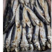 

ikan asin japuh