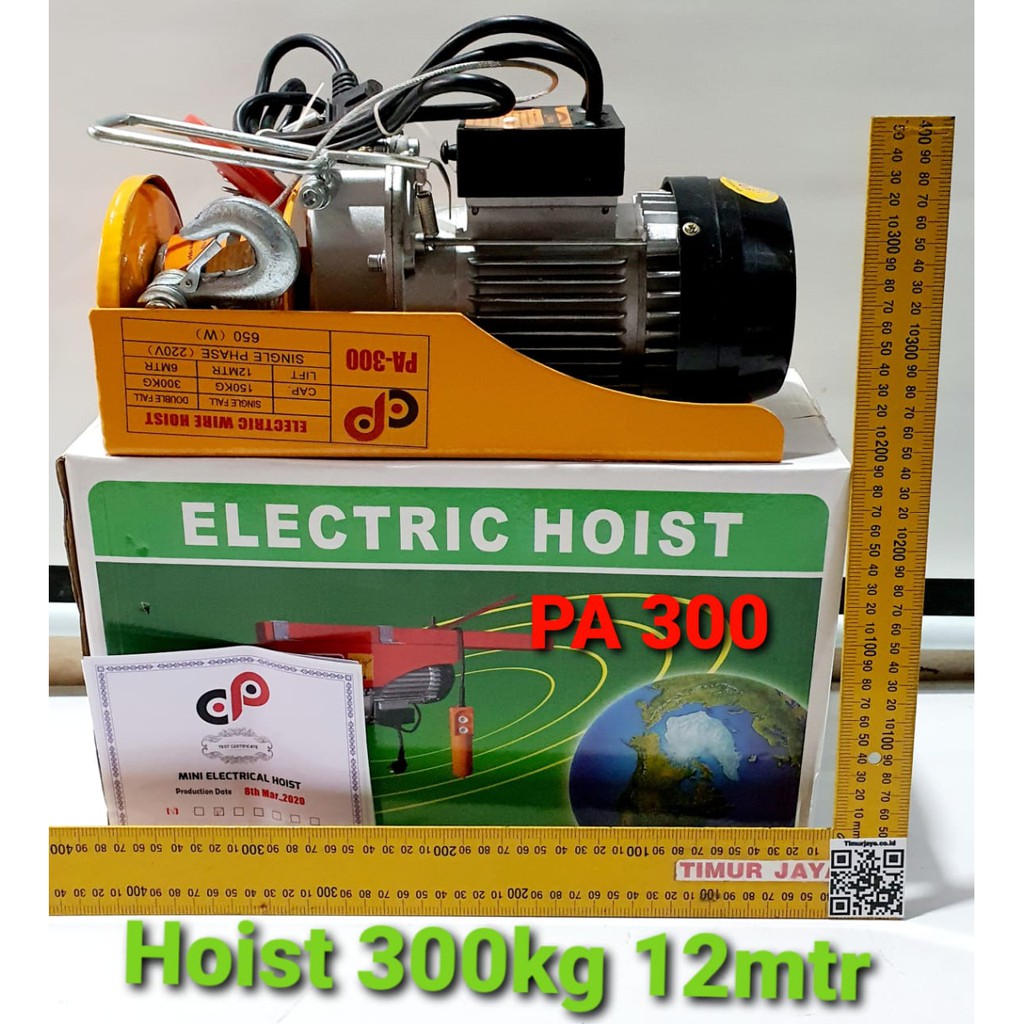 MINI ELECTRIC HOIST PA300 AC 220V KATROL ELEKTRIK 300 kg 12 mtr