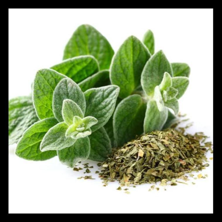 

Sale Turky - Oregano Leaves Dried 1Kg / Daun Oregano Kering 1Kg