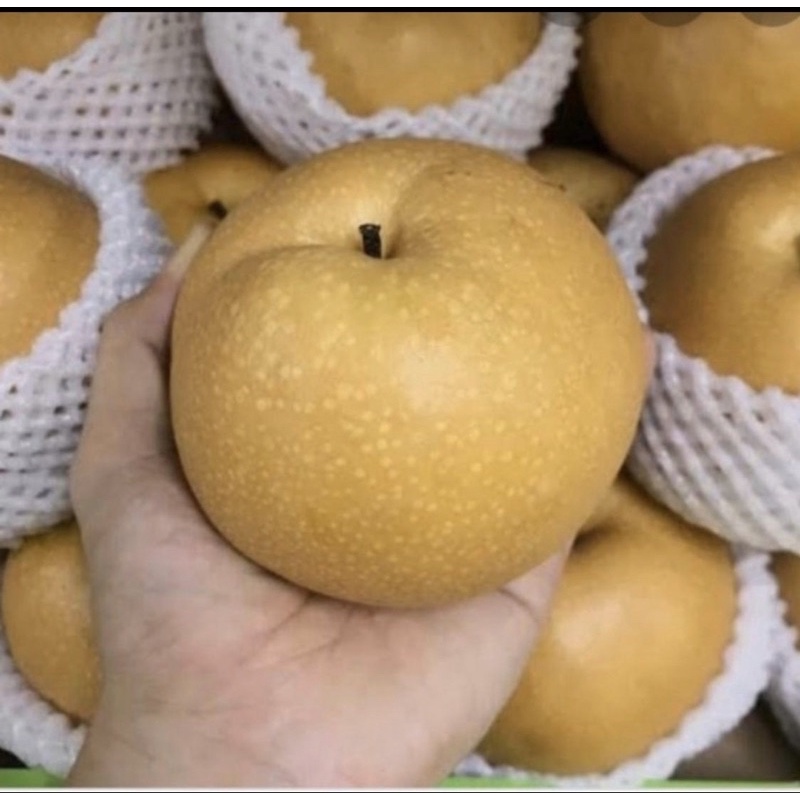 

pear singo coklat fresh per 1 buah