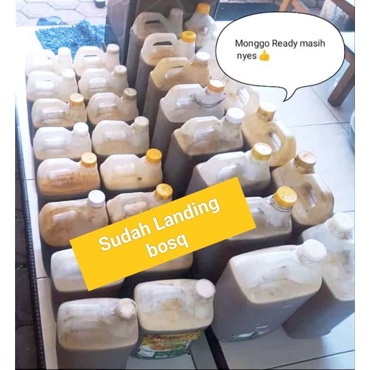 

MADUHUTAN