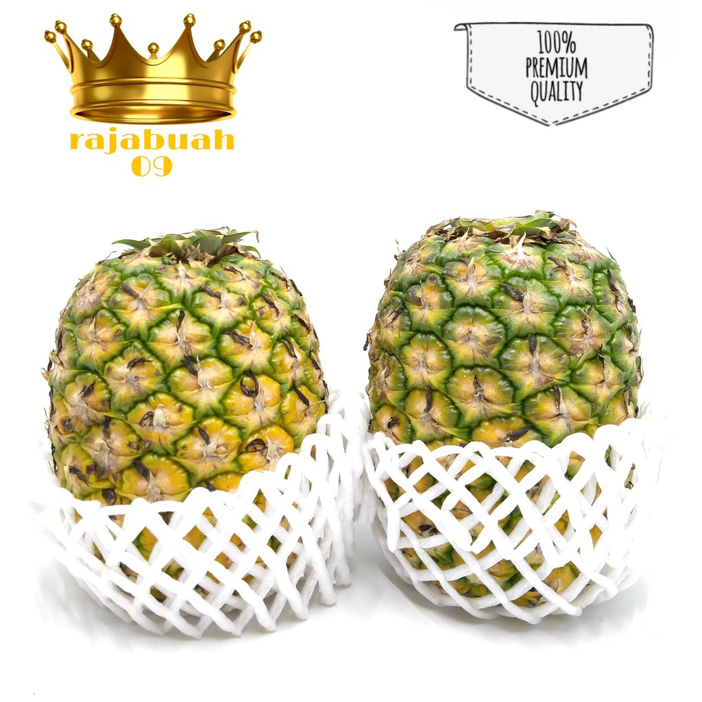 

Nanas Sunpride / Nanas Manis 1 Buah Berat 1,2-1,5 kg