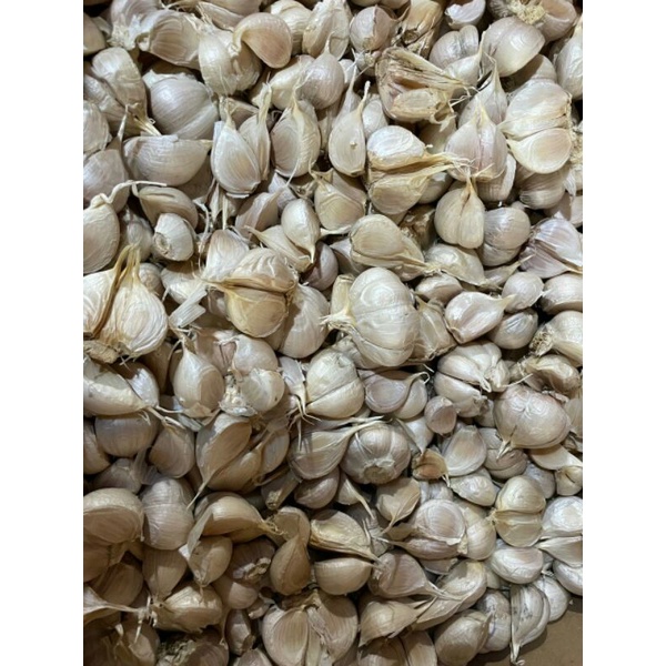 

Bawang Putih Kating 250g