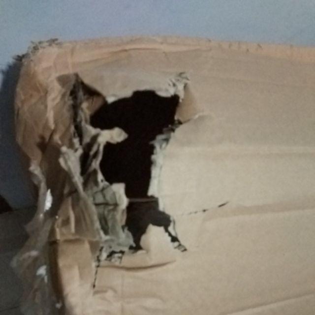 Tangga Double Teleskopik 1.9+1.9 = 3.8 M Telescopic Mollar