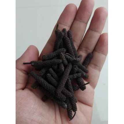 

BARU 8525 Cabe Jamu / Cabe Puyang / Cabe Jawa / Long Pepper Harg Termurah 1 Kg ヹ
