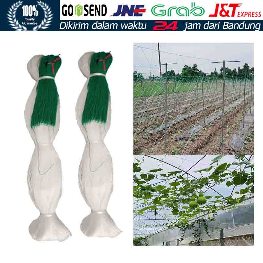 Tanaman Plant Climbing Net MURAH