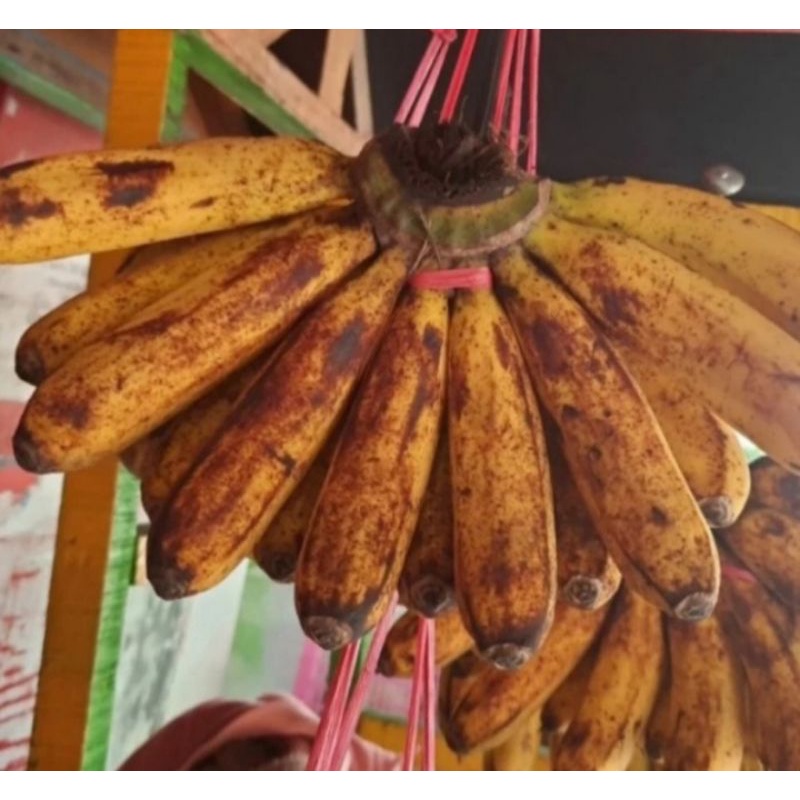 

pisang barangan