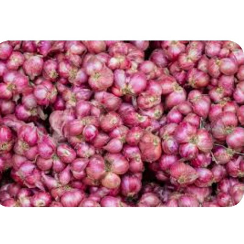 

Bawang Merah