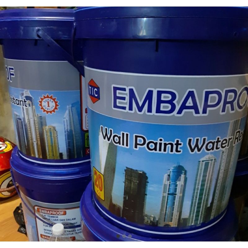 DMST / CAT TEMBOK 20 kg EMBAPROOF WALL pain water RESISTENT cream