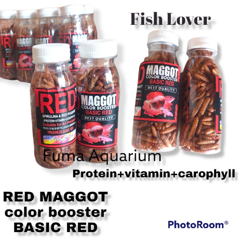 Fish Lover Red Maggot BSF Color Booster Basic Red 20gr Pakan Ikan Makanan Ikan Hias Predator dll