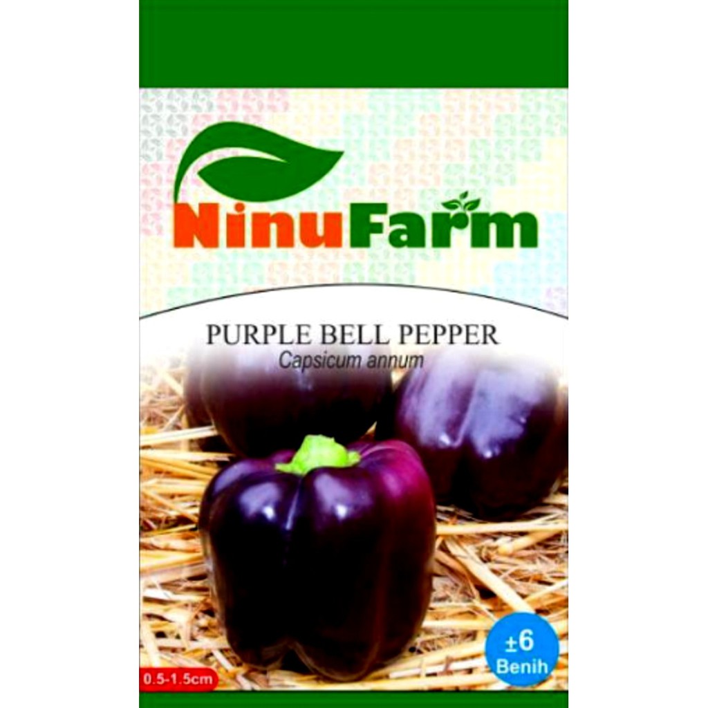 Benih Biji Paprika Ungu - Ninu Farm