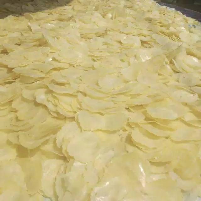 

EMPING MELINJO SUPER ASLI LIMPUNG BATANG 500 GR