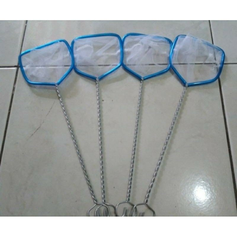 SEROK IKAN SESER IKAN CUPANG