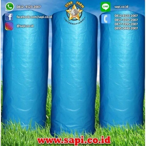 

Star Farm BTM - Bubble Wrap Biru