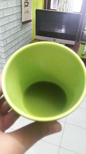 Pohon Daun Saga Sudah Rimbun